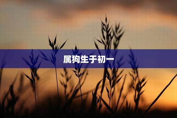 属狗生于初一