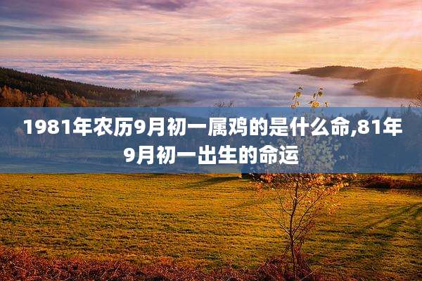 1981年农历9月初一属鸡的是什么命,81年9月初一出生的命运
