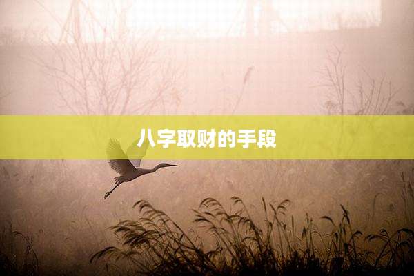 八字取财的手段