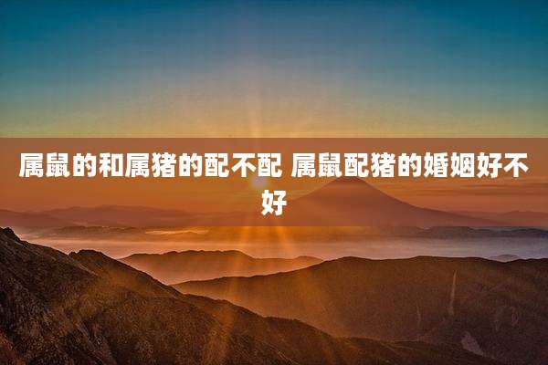 属鼠的和属猪的配不配 属鼠配猪的婚姻好不好