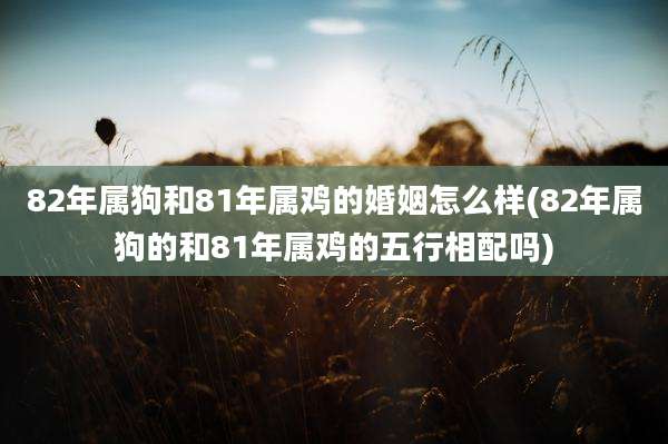 82年属狗和81年属鸡的婚姻怎么样(82年属狗的和81年属鸡的五行相配吗)
