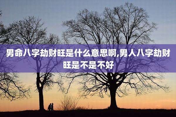 男命八字劫财旺是什么意思啊,男人八字劫财旺是不是不好