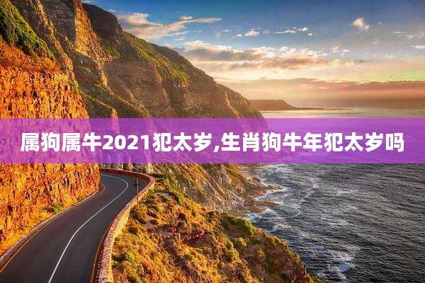 属狗属牛2021犯太岁,生肖狗牛年犯太岁吗
