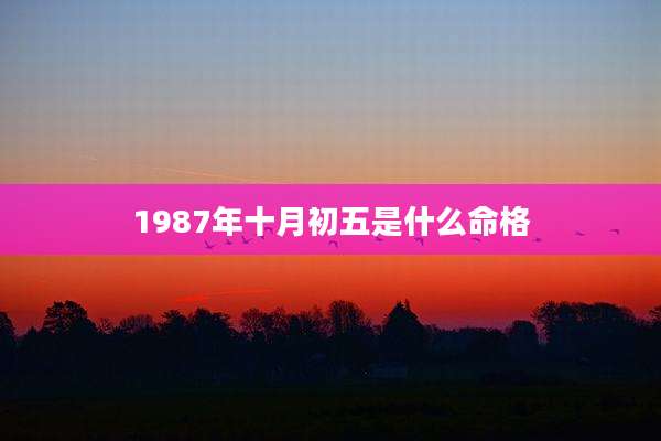 1987年十月初五是什么命格