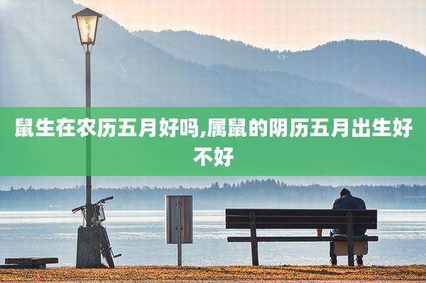 鼠生在农历五月好吗,属鼠的阴历五月出生好不好