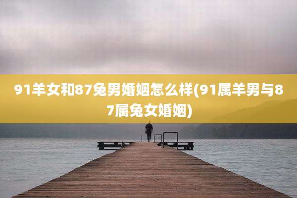 91羊女和87兔男婚姻怎么样(91属羊男与87属兔女婚姻)