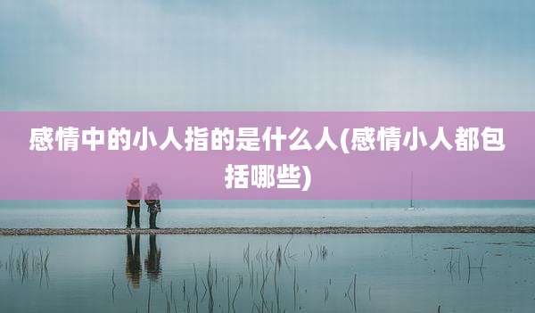 感情中的小人指的是什么人(感情小人都包括哪些)