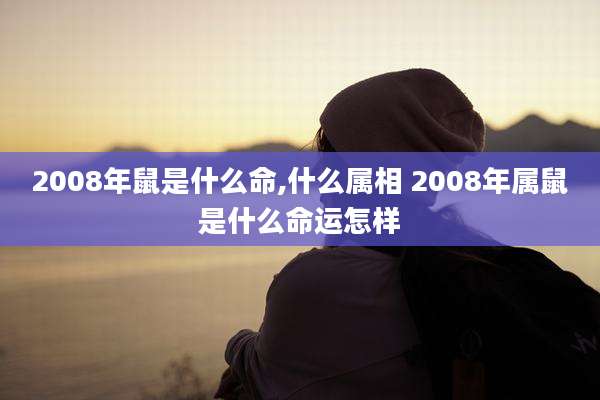 2008年鼠是什么命,什么属相 2008年属鼠是什么命运怎样