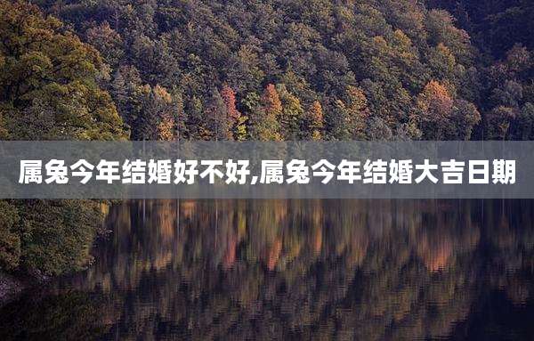 属兔今年结婚好不好,属兔今年结婚大吉日期