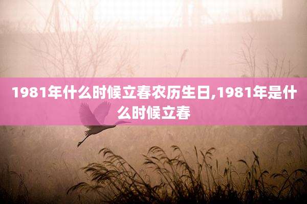 1981年什么时候立春农历生日,1981年是什么时候立春
