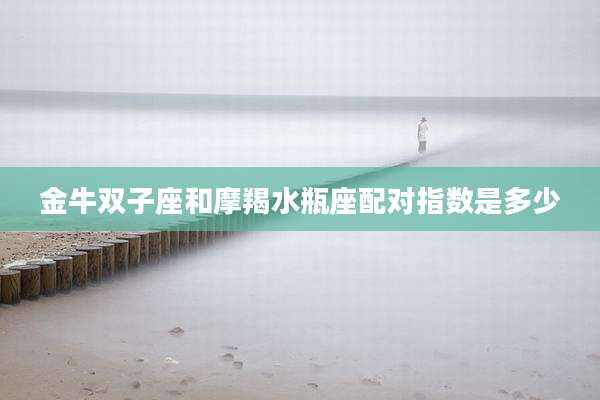 金牛双子座和摩羯水瓶座配对指数是多少