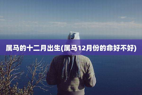 属马的十二月出生(属马12月份的命好不好)