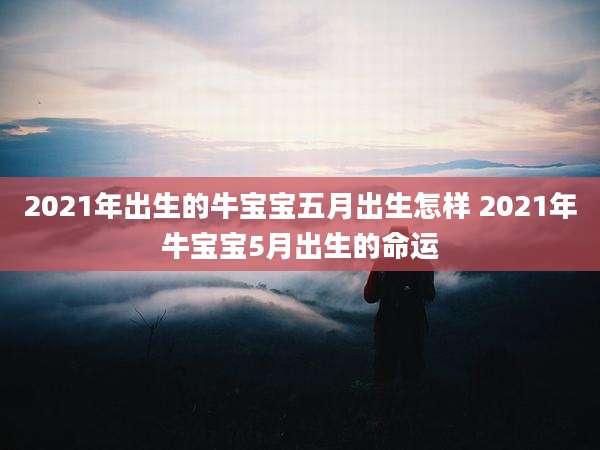 2021年出生的牛宝宝五月出生怎样 2021年牛宝宝5月出生的命运