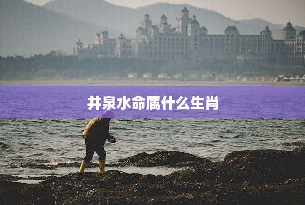 井泉水命属什么生肖