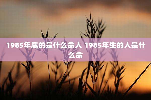 1985年属的是什么命人 1985年生的人是什么命