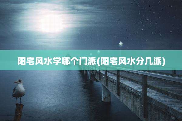 阳宅风水学哪个门派(阳宅风水分几派)