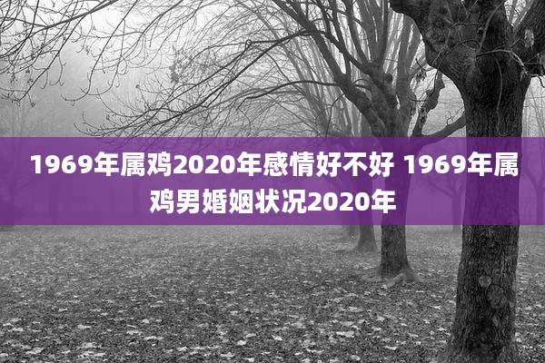 1969年属鸡2020年感情好不好 1969年属鸡男婚姻状况2020年