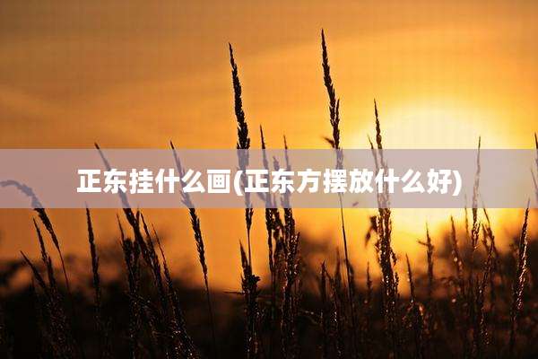 正东挂什么画(正东方摆放什么好)