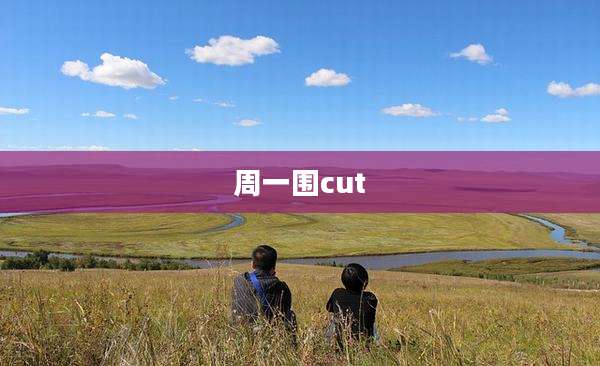 周一围cut