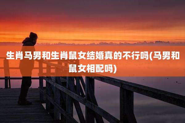 生肖马男和生肖鼠女结婚真的不行吗(马男和鼠女相配吗)