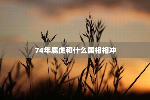 74年属虎和什么属相相冲