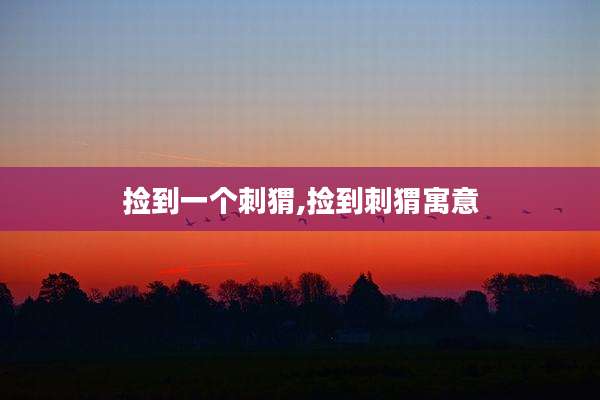 捡到一个刺猬,捡到刺猬寓意