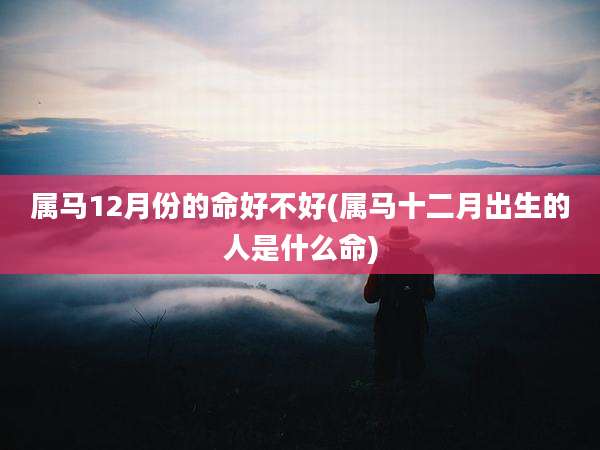 属马12月份的命好不好(属马十二月出生的人是什么命)