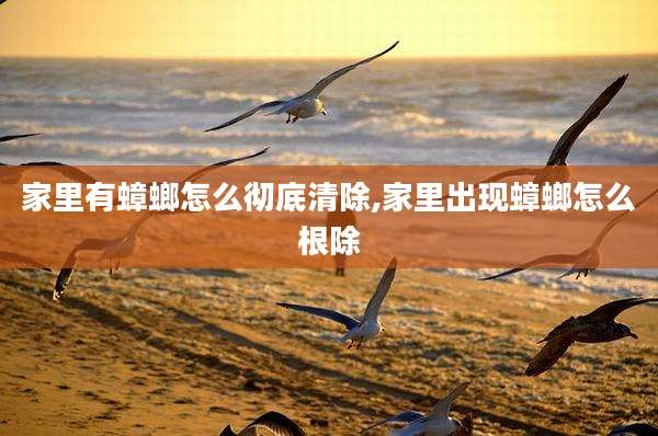 家里有蟑螂怎么彻底清除,家里出现蟑螂怎么根除