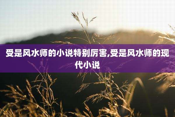 受是风水师的小说特别厉害,受是风水师的现代小说