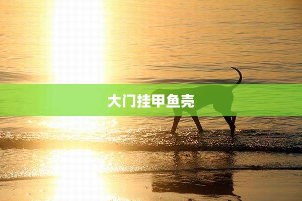 大门挂甲鱼壳