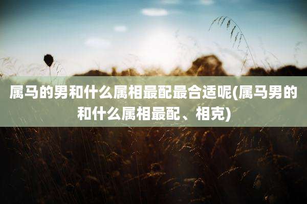 属马的男和什么属相最配最合适呢(属马男的和什么属相最配、相克)