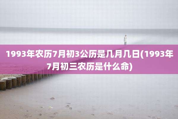 1993年农历7月初3公历是几月几日(1993年7月初三农历是什么命)