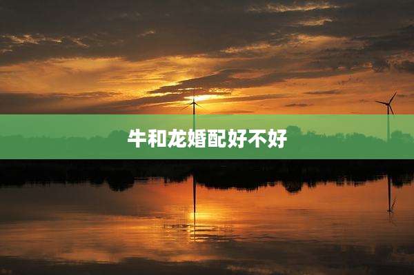 牛和龙婚配好不好