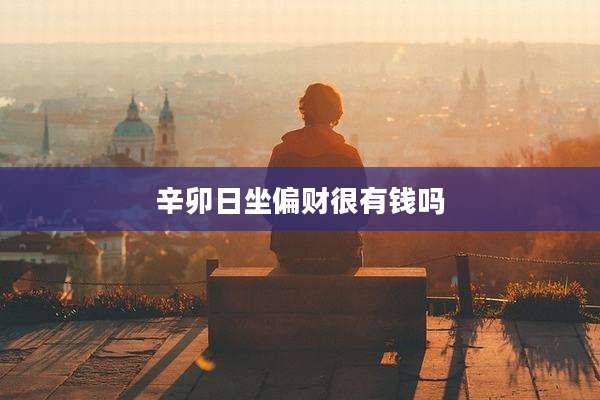 辛卯日坐偏财很有钱吗