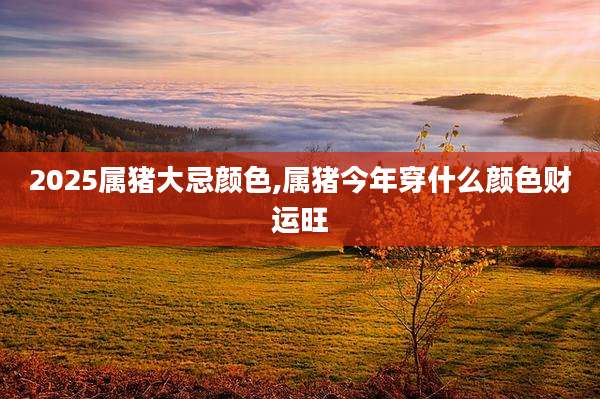 2025属猪大忌颜色,属猪今年穿什么颜色财运旺