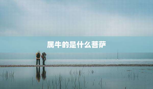 属牛的是什么菩萨