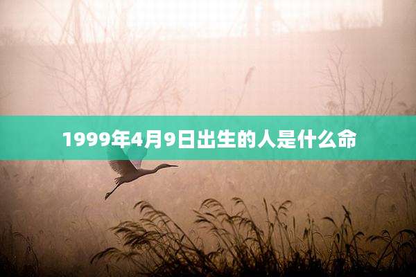 1999年4月9日出生的人是什么命
