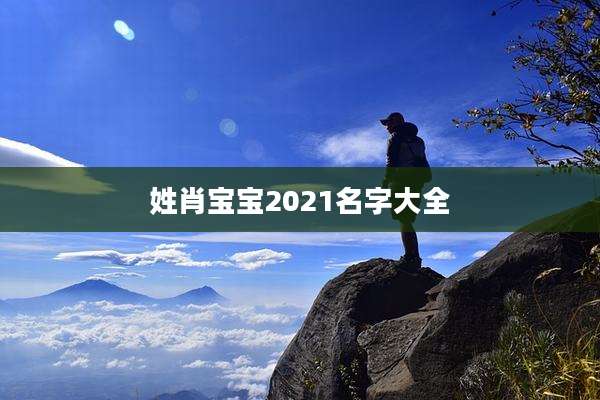 姓肖宝宝2021名字大全