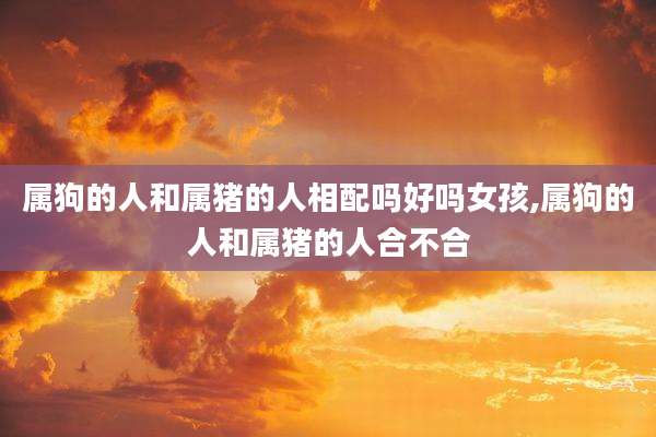 属狗的人和属猪的人相配吗好吗女孩,属狗的人和属猪的人合不合