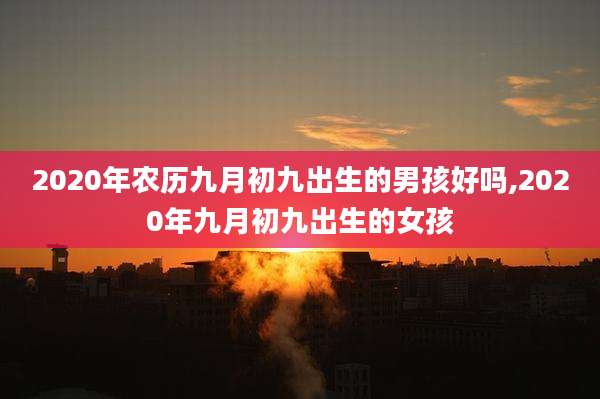 2020年农历九月初九出生的男孩好吗,2020年九月初九出生的女孩