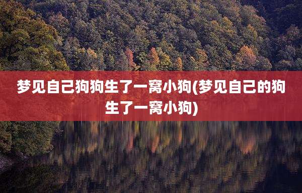 梦见自己狗狗生了一窝小狗(梦见自己的狗生了一窝小狗)