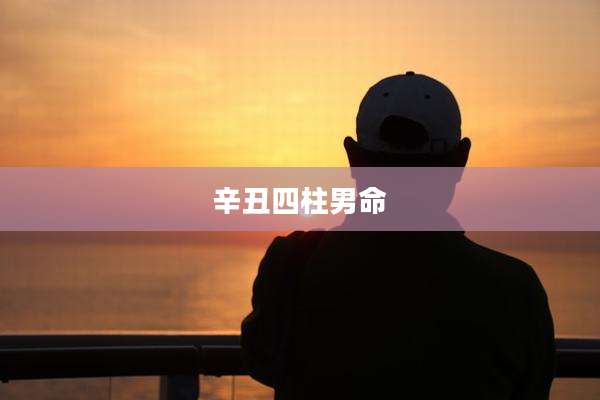 辛丑四柱男命