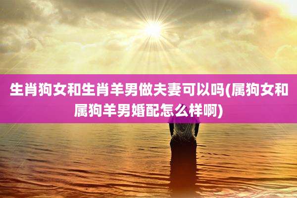 生肖狗女和生肖羊男做夫妻可以吗(属狗女和属狗羊男婚配怎么样啊)