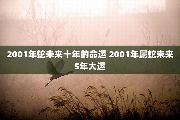 2001年蛇未来十年的命运 2001年属蛇未来5年大运