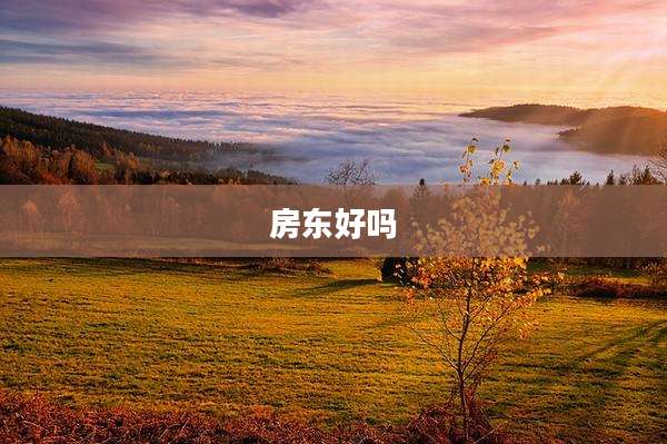 房东好吗