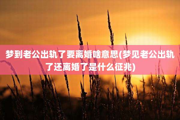 梦到老公出轨了要离婚啥意思(梦见老公出轨了还离婚了是什么征兆)