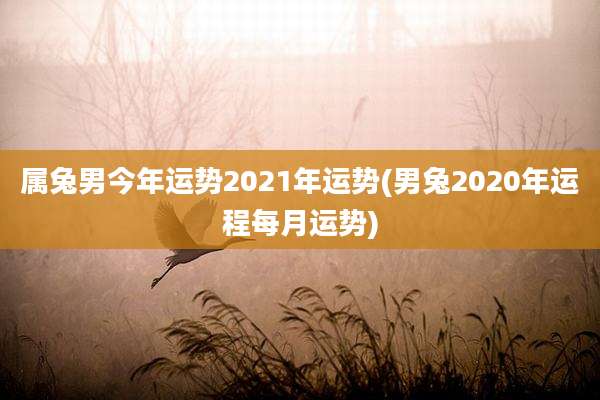 属兔男今年运势2021年运势(男兔2020年运程每月运势)