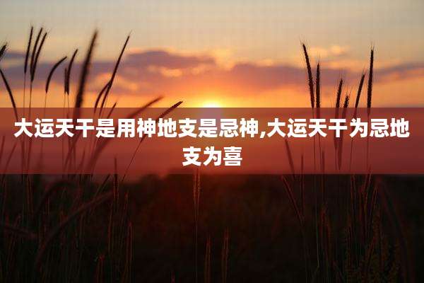 大运天干是用神地支是忌神,大运天干为忌地支为喜