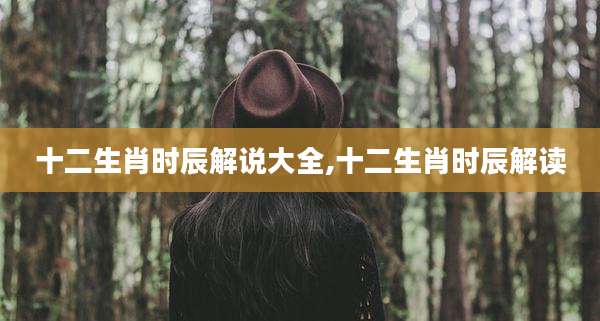 十二生肖时辰解说大全,十二生肖时辰解读