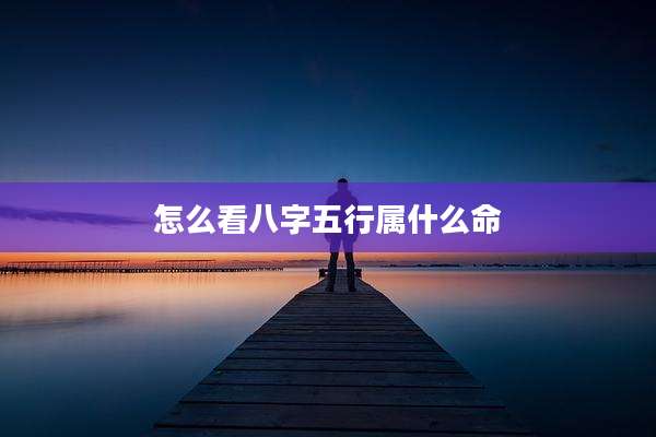 怎么看八字五行属什么命